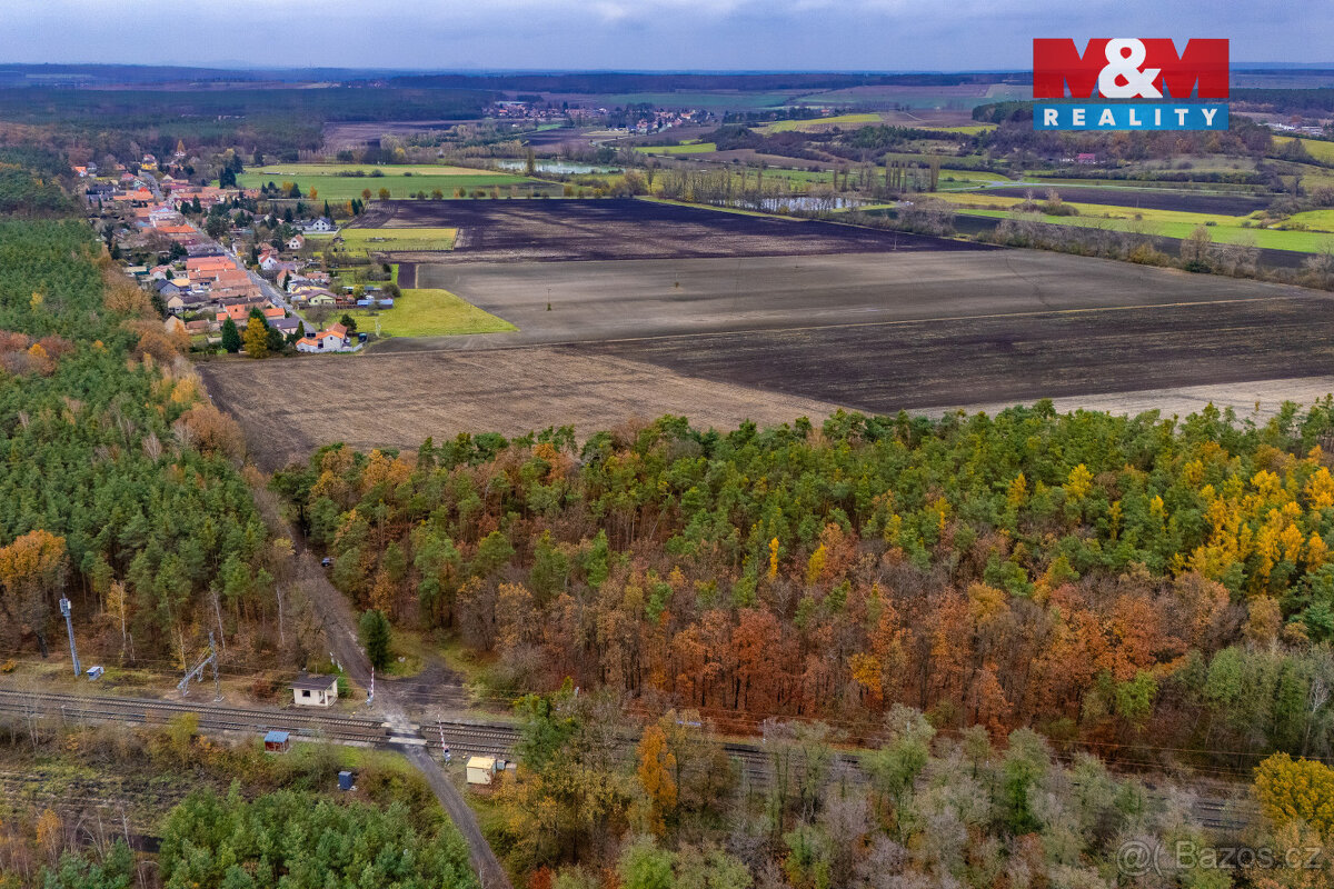 Prodej lesa, 6436 m², Lysá nad Labem - 4