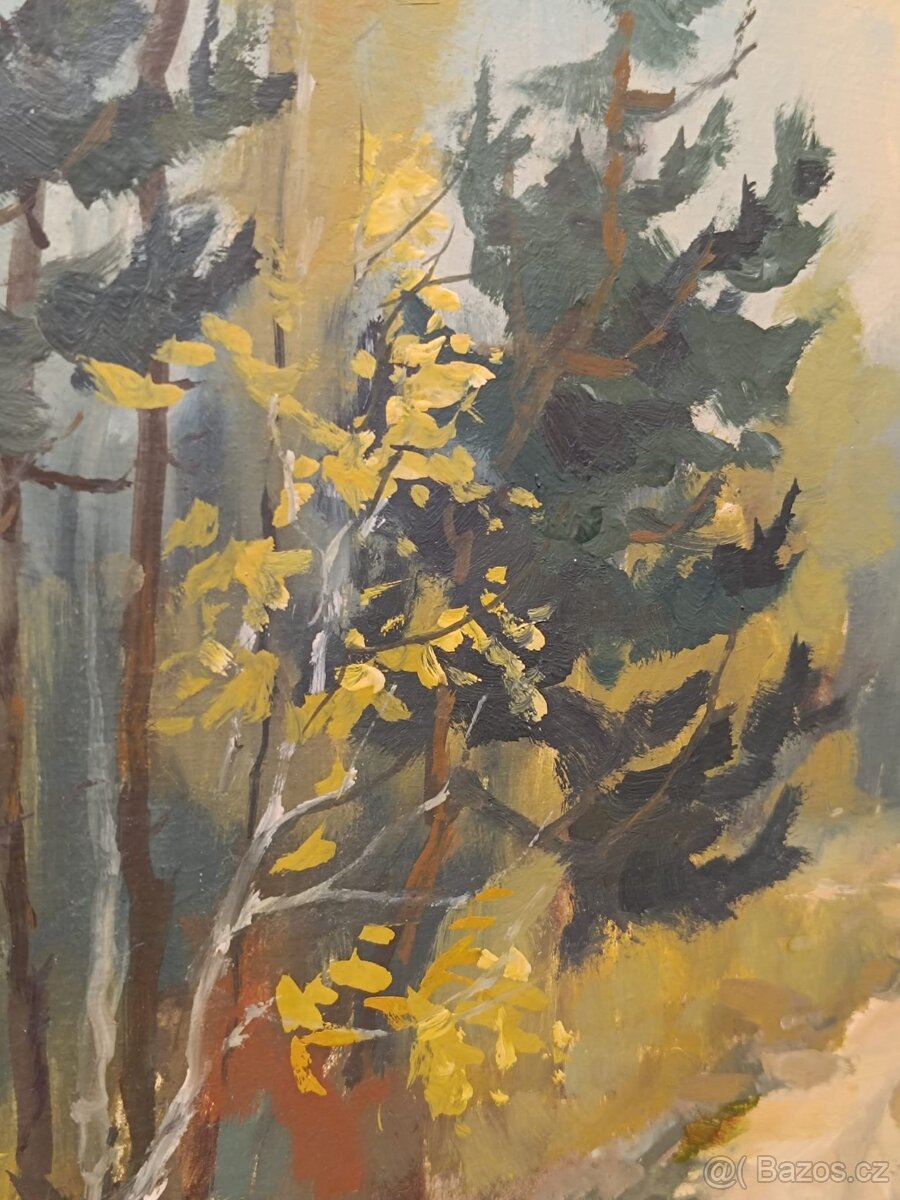 Obraz František Pulec, Šumava, olej 43x73 - 4