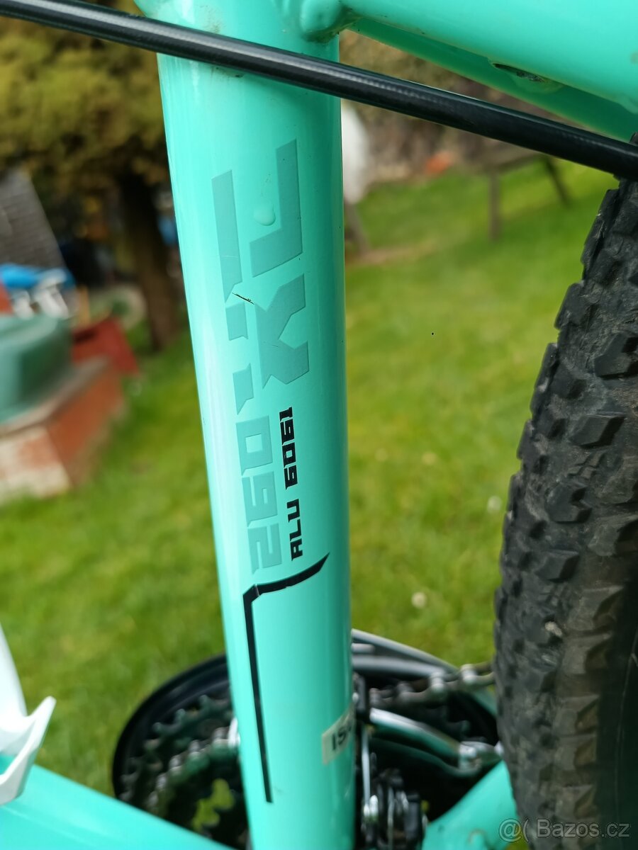 Kolo BEANY 26“ - 4