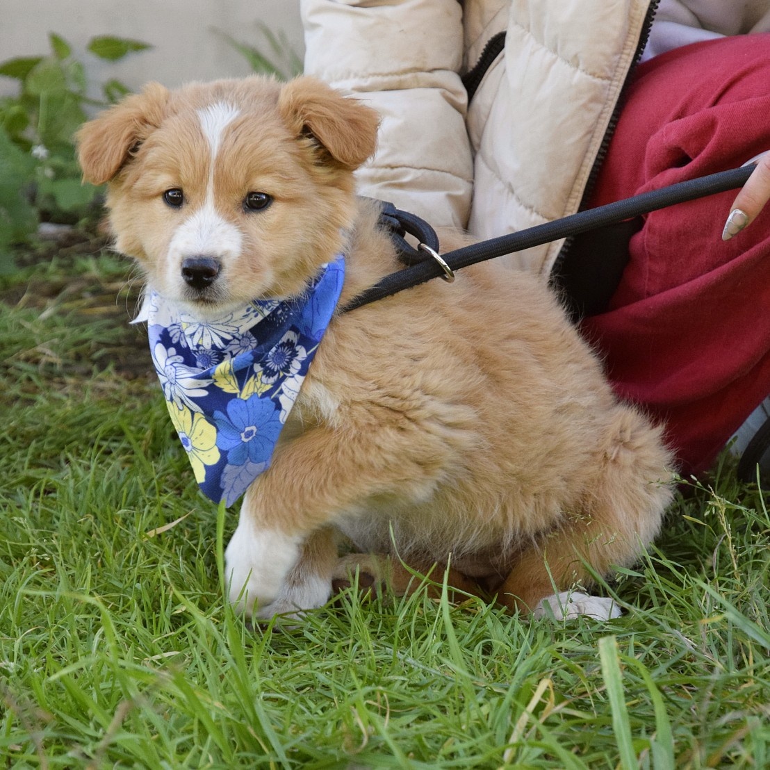 Balisha rezervace - 4