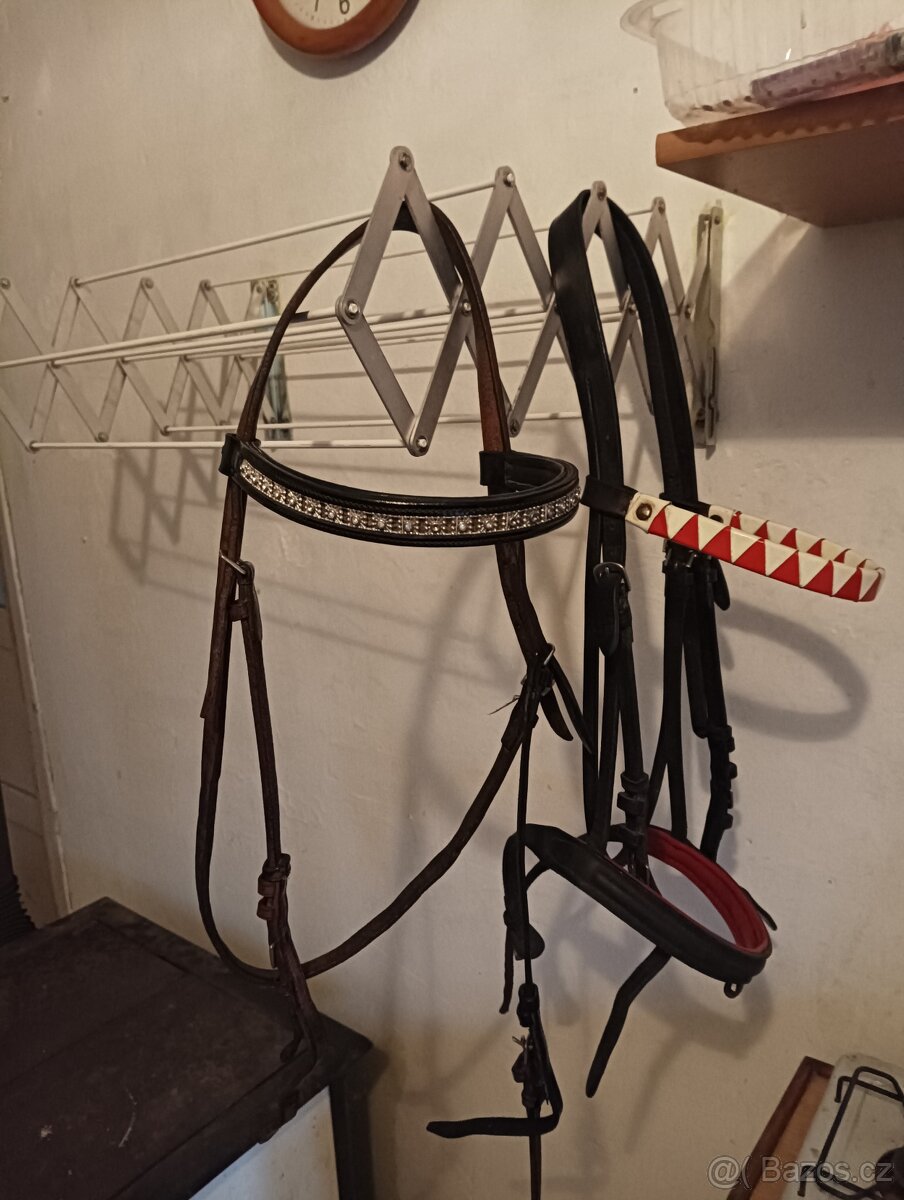 Více věcí pro koně - 4