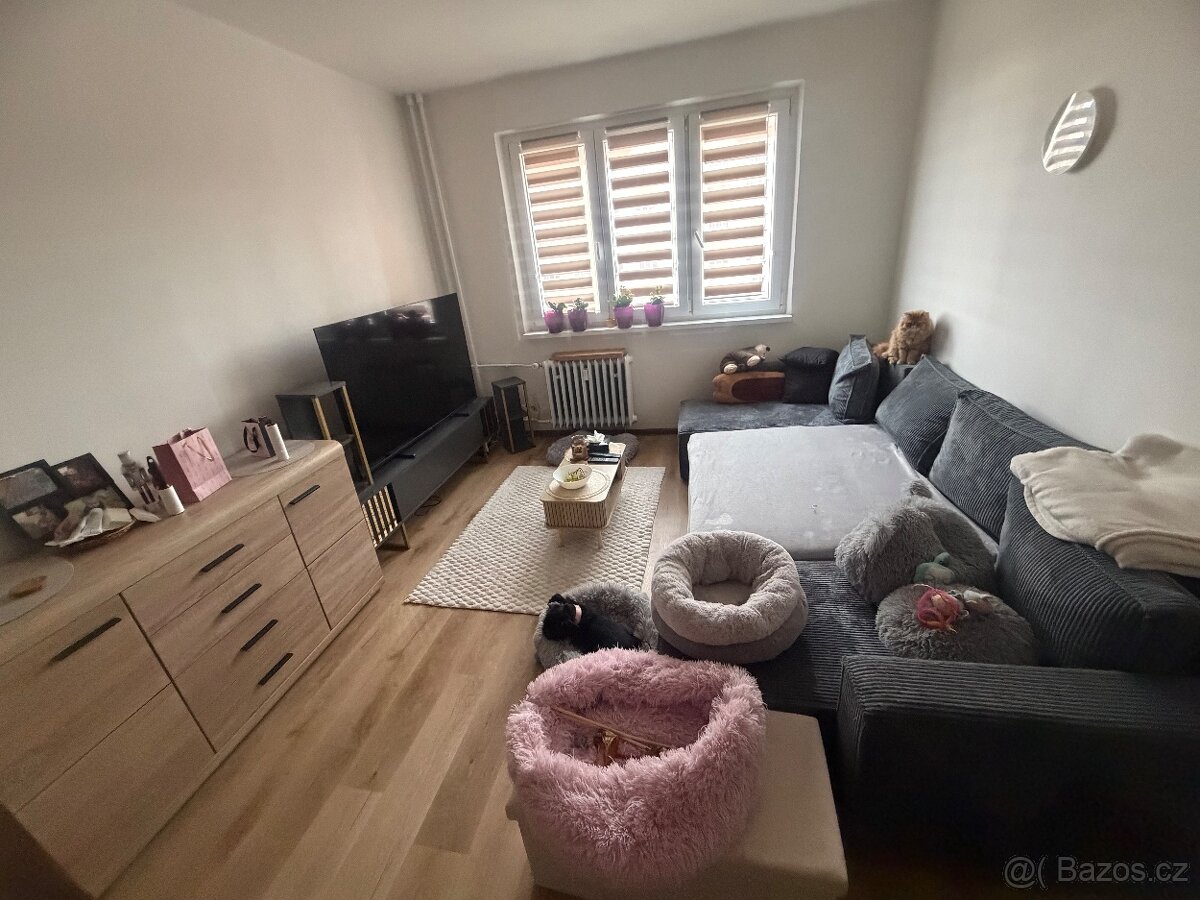 2+1, centrum města - 4