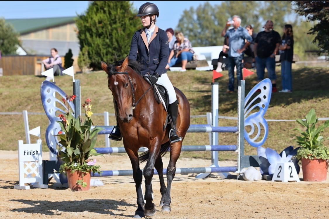 Krásná klisna na prodej - 4