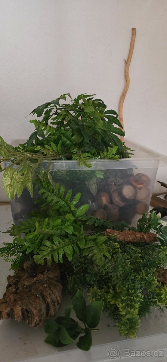 Chovné boxy pro pagekony - 4