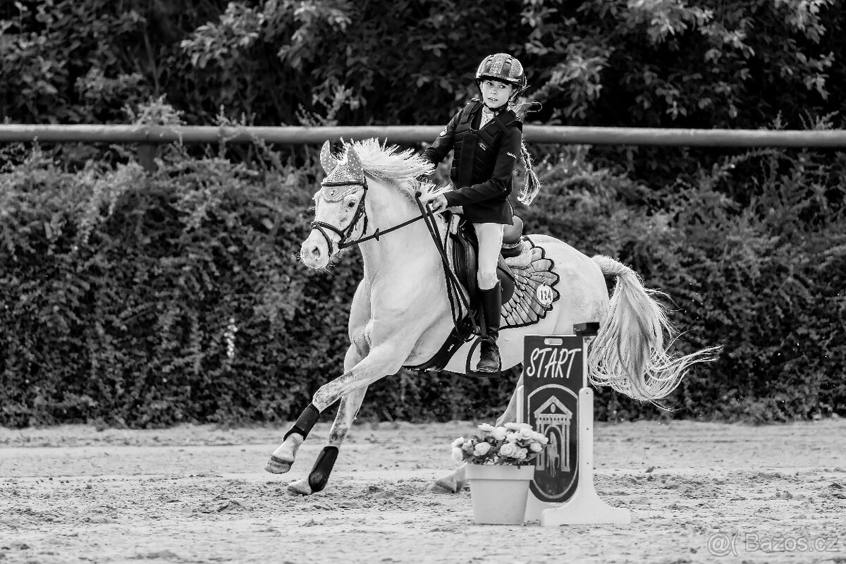 Pony valach kat. A - 4