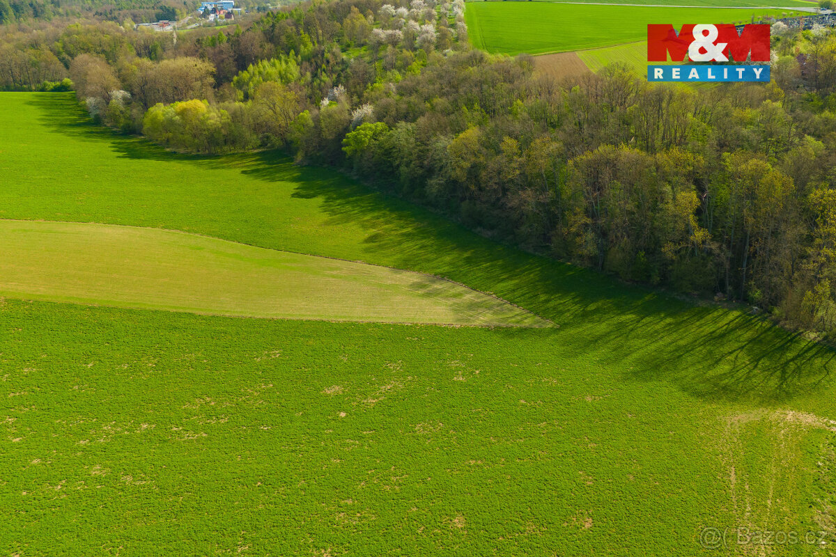 Prodej pole, 4100 m², Bílá Lhota - 4