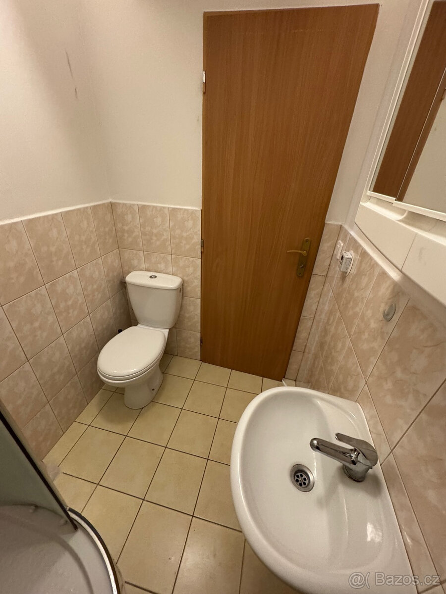 PRONÁJEM, SAMOSTATNÝ BYT 1+KK, MOHELNICE, 23 m2 - 4