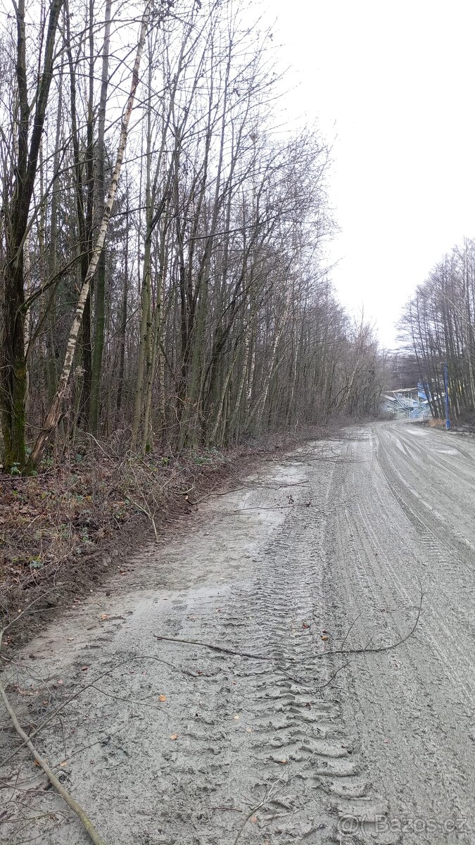 Plotostřih,nůžky na stromy – odvětvovací - 4