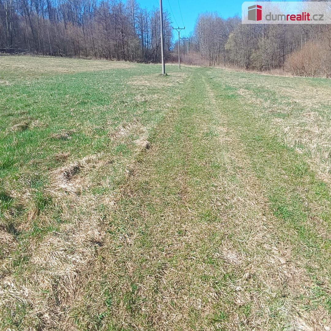 Prodej pozemku o rozloze 4050 m2 určeného k zastavění, Fojto - 4