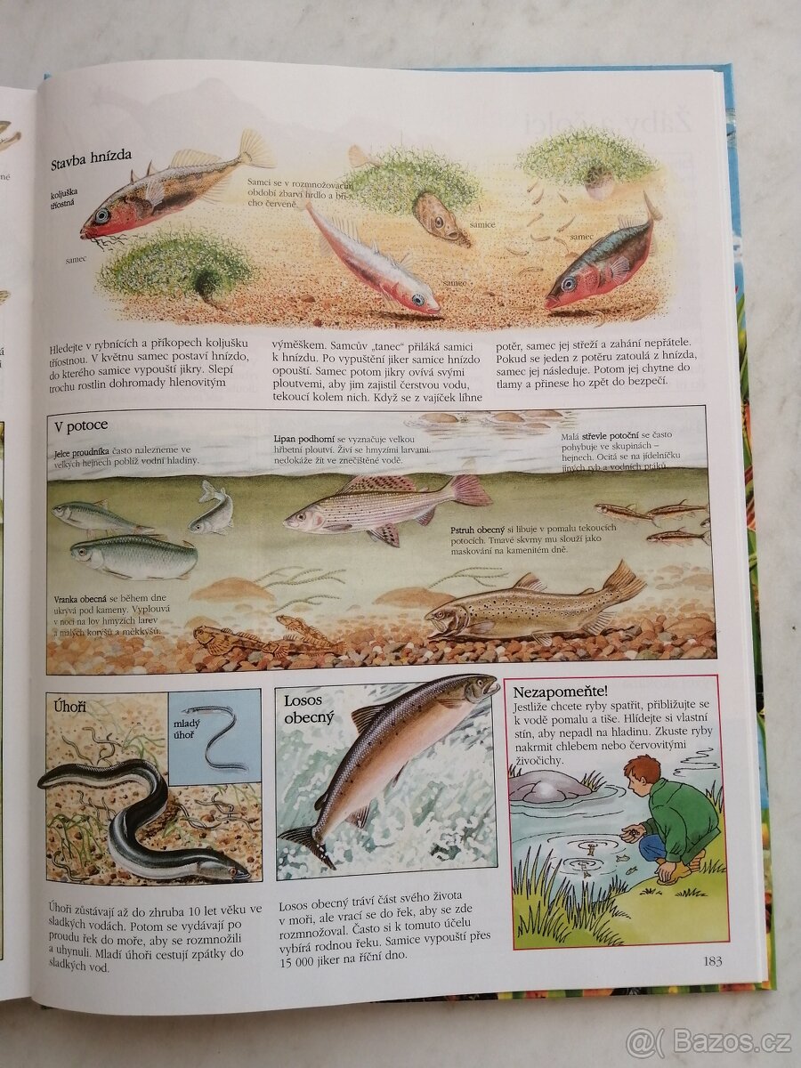 Dětská encyklopedie o přírodě NOVÁ - 4