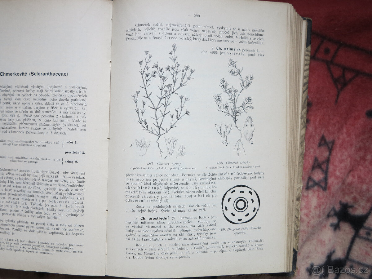 Názorná květena zemí koruny české (Fran. Polívka) 4 knihy - 4