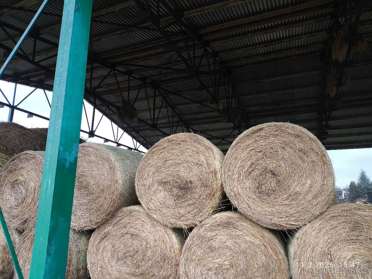 Prodám seno kulaté balíky - 4