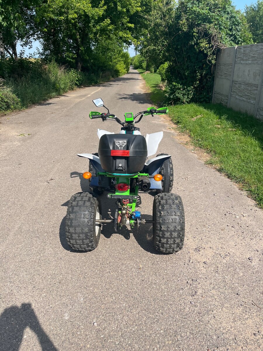 Bashan 200