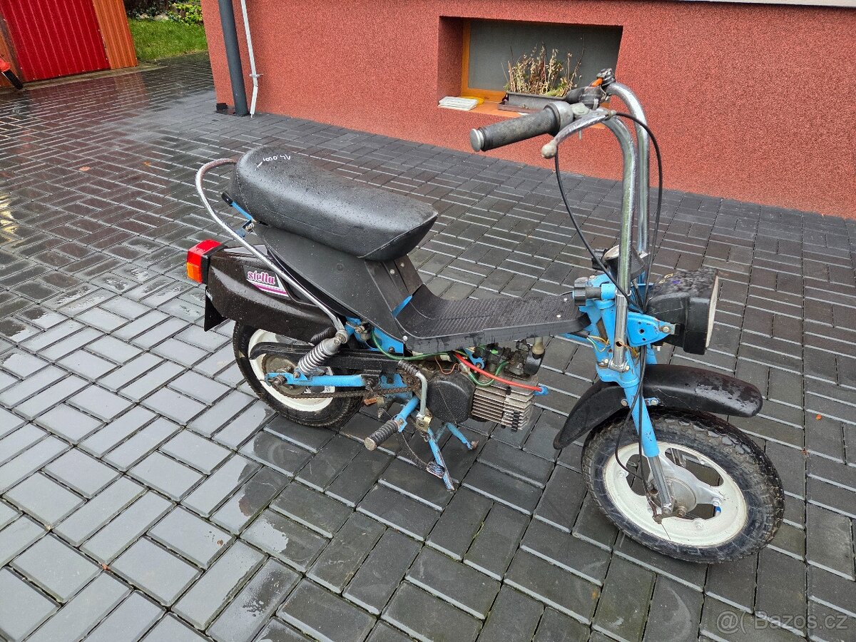 MOKIK Babetta - STELLA vzácná - 4