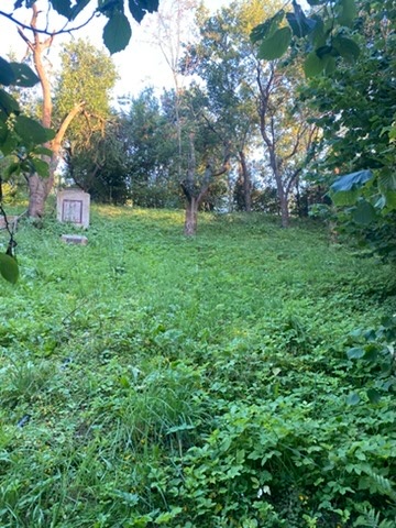 Zahrada v Jemnici na Vysočině - 4