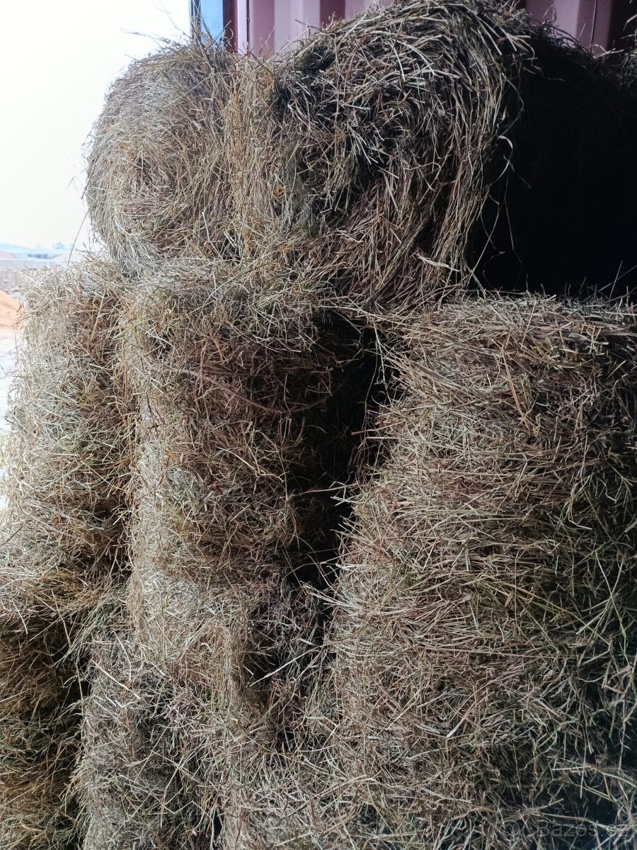 Seno malé balíky - 4