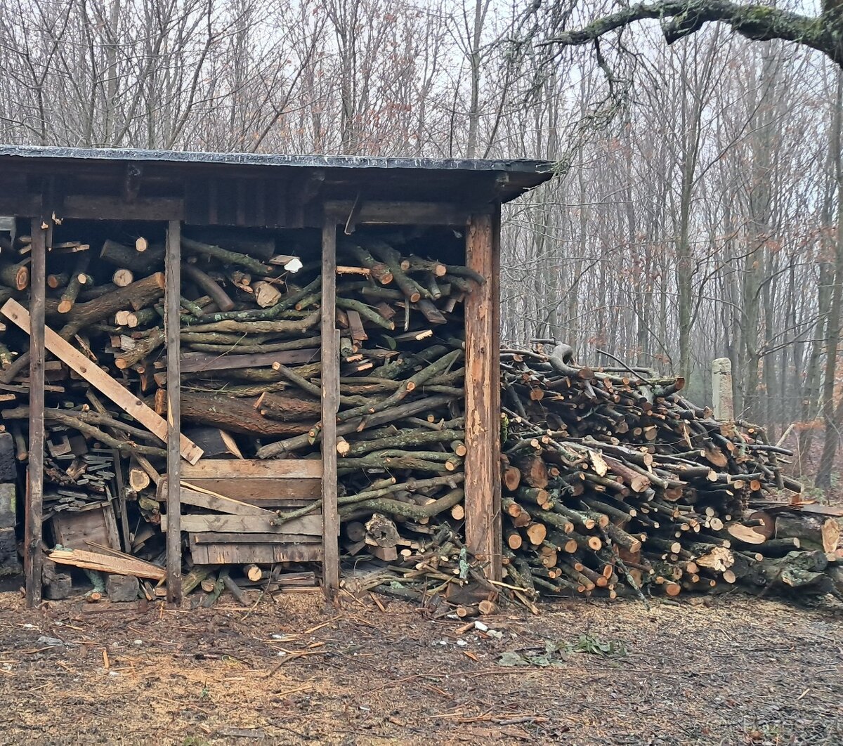 Dřevo na topení Svitavy - 4