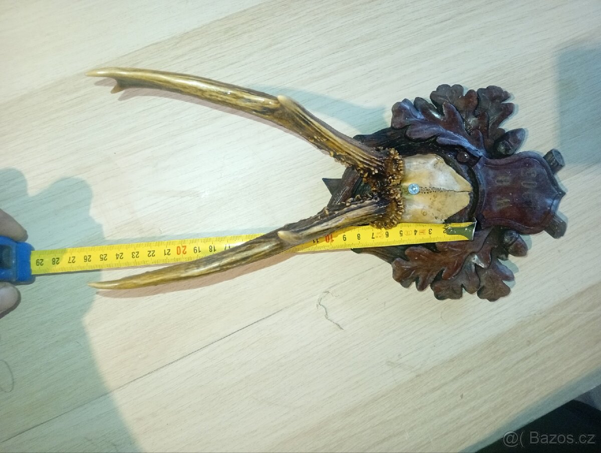 Sada srnčích trofejí (4 ks) - 4