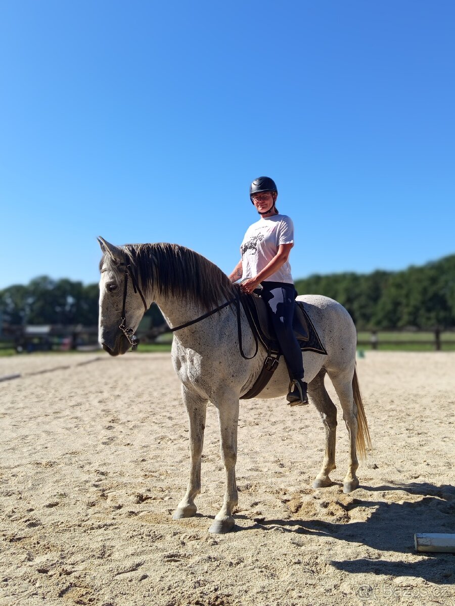 Pronájem P.R.E. - 4