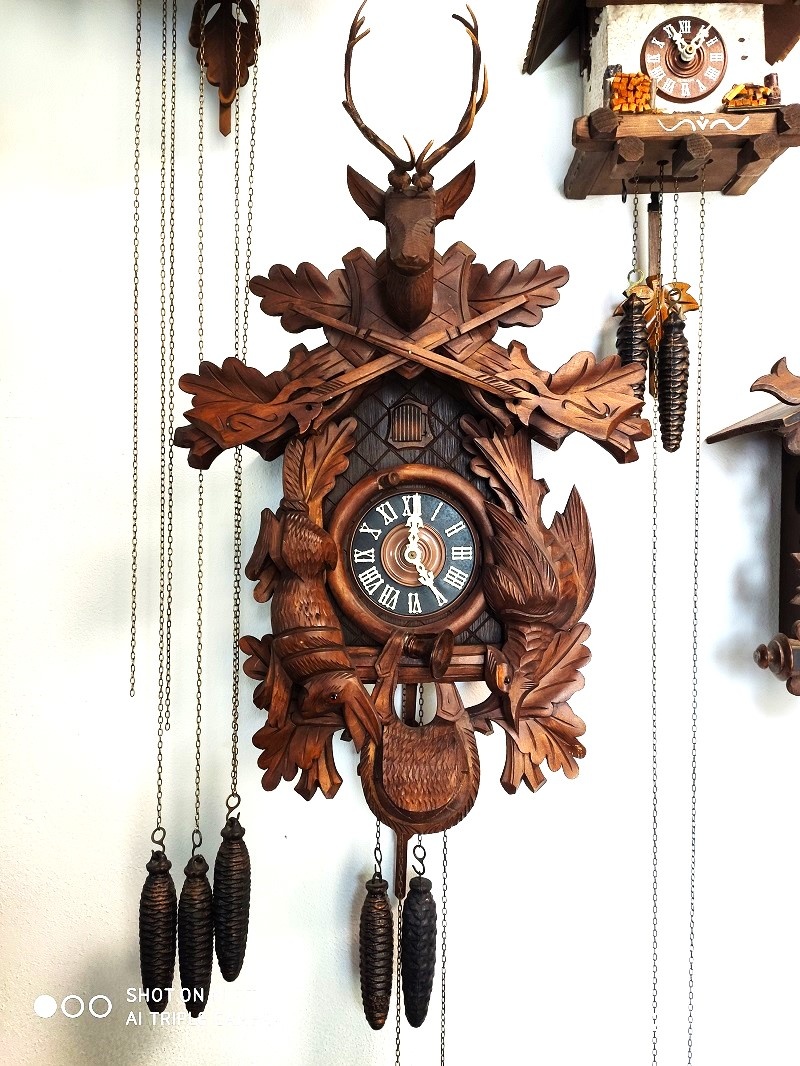 Hezke, kukacky, Schwarzwald - 4