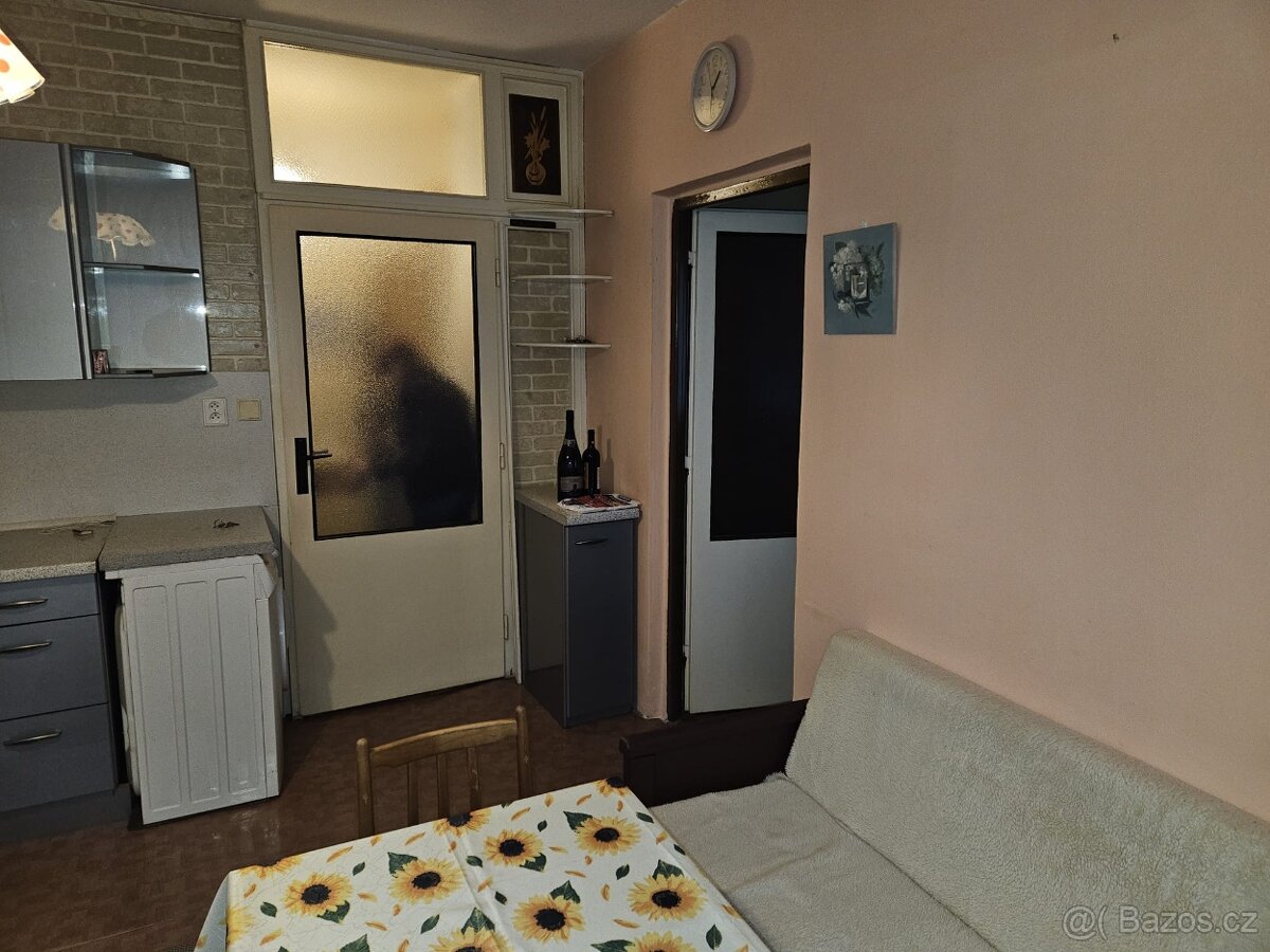 Pronájem bytu 1+1 Mariánské lázně - 4