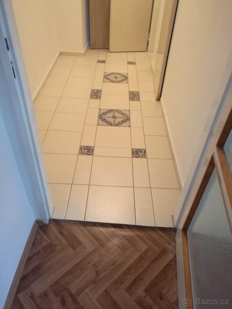 TP u botanické zahrady 2+KK s balkonem - 4