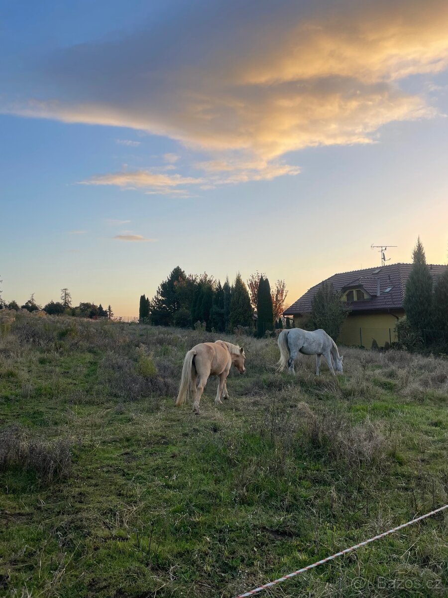 Ustájení u Přerova - 4