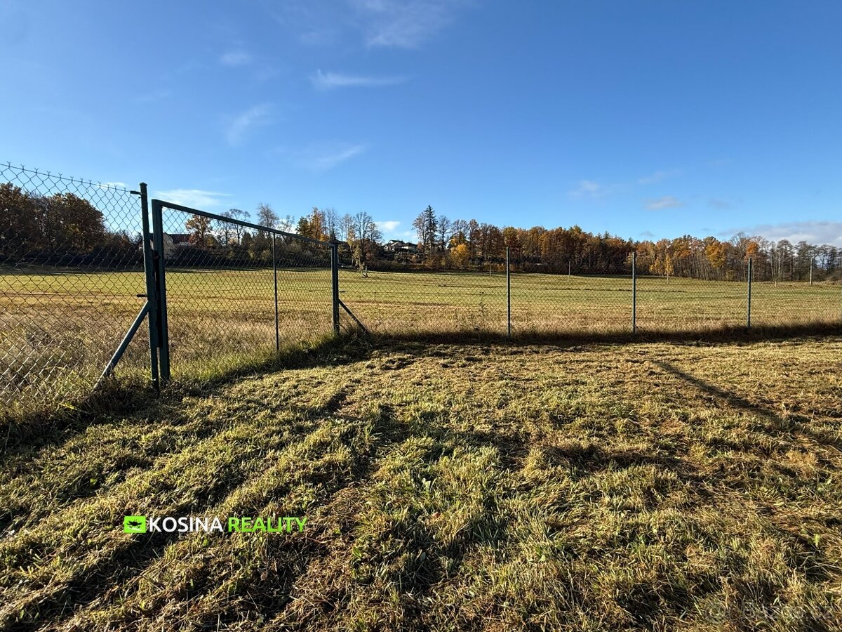 Stavební pozemek 4145 m2, Petra Bezruče, Kynšperk nad Ohří - 4