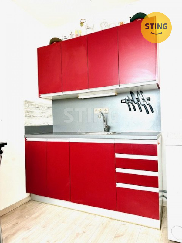 Exkluzivně vám nabízíme byt 1+1 po revitalizaci v Ho, 134232 - 4