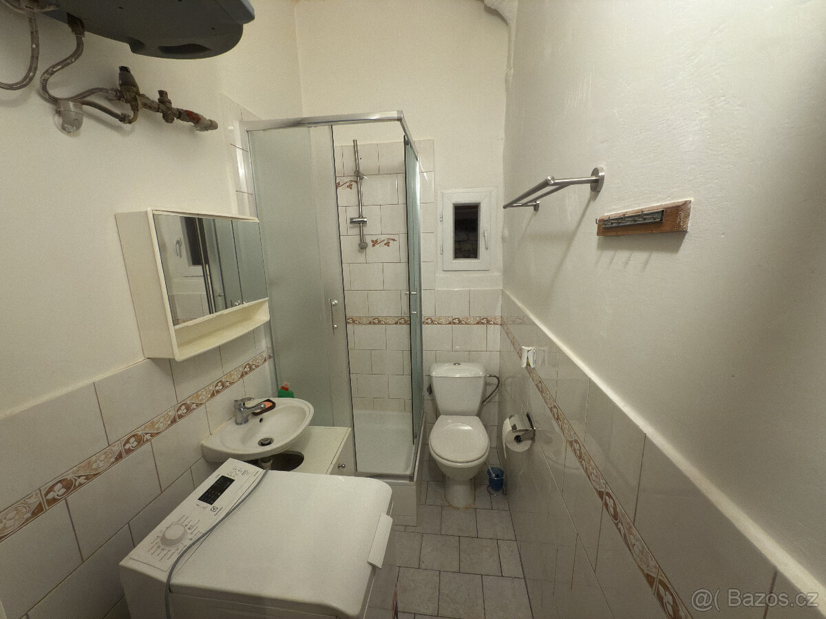 Útulný byt 2+kk v Praze-Michli - 4