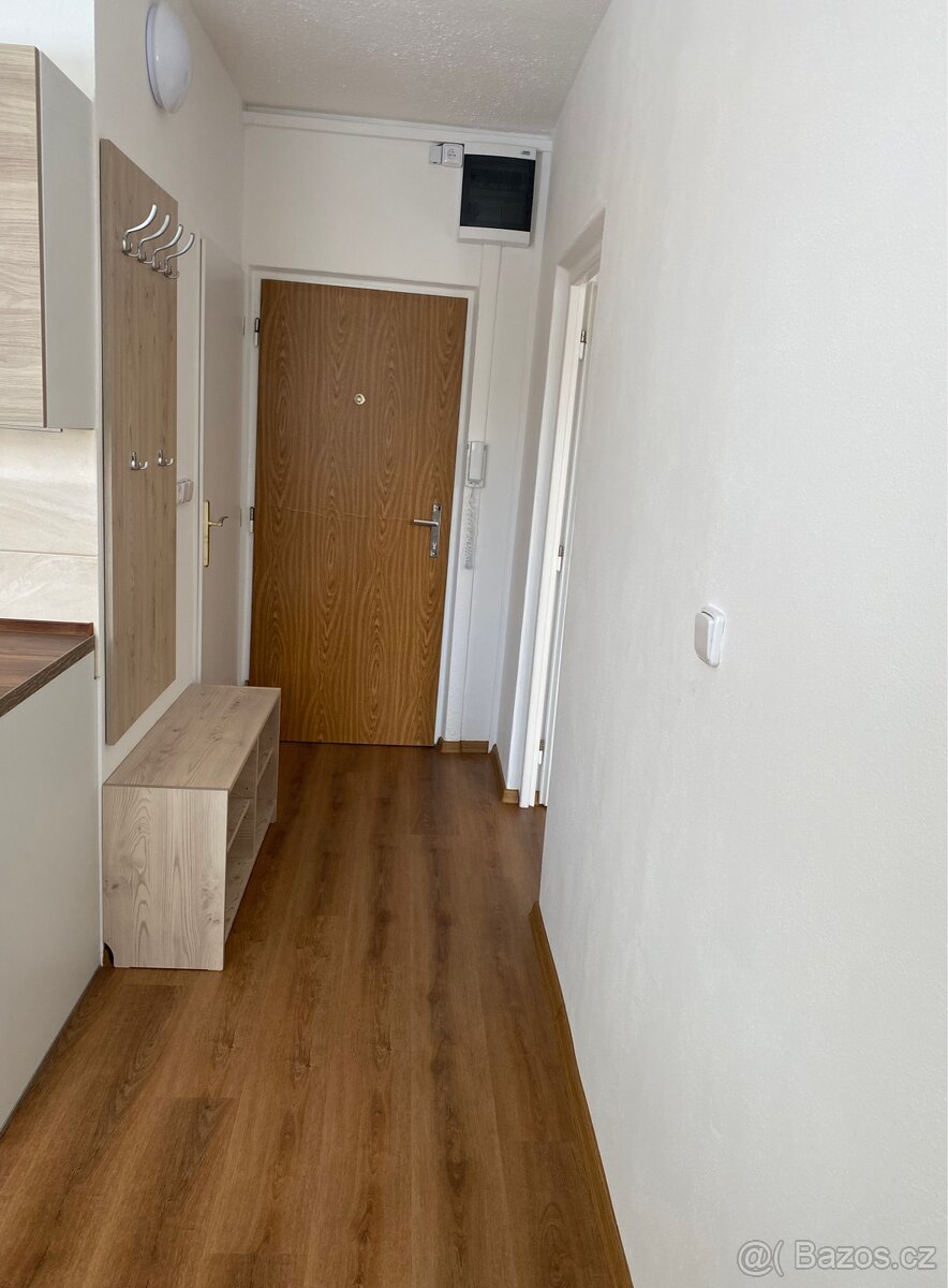 Pronájem bytu 1+1 - 4