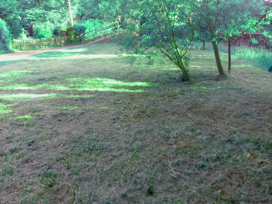 Pozemek stavební ok Děčín - 4