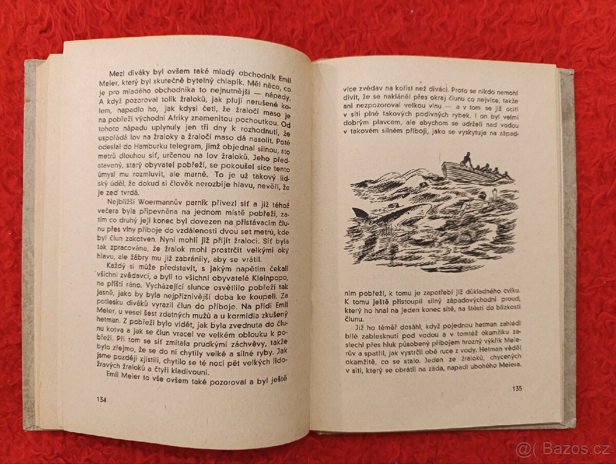 V ŘÍŠI KROKODILŮ A VOLAVEK - Georg Strack - 4