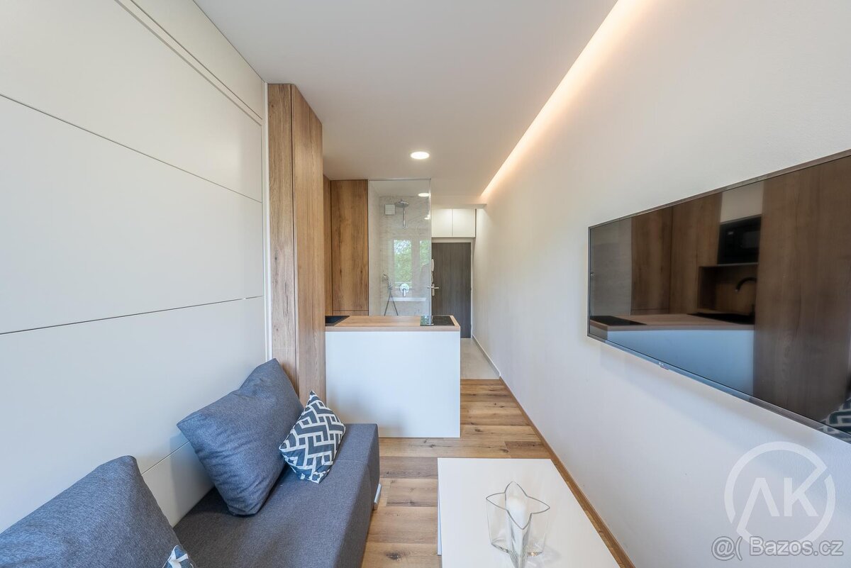 Pronájem neskutečného bytu 1+KK - 4