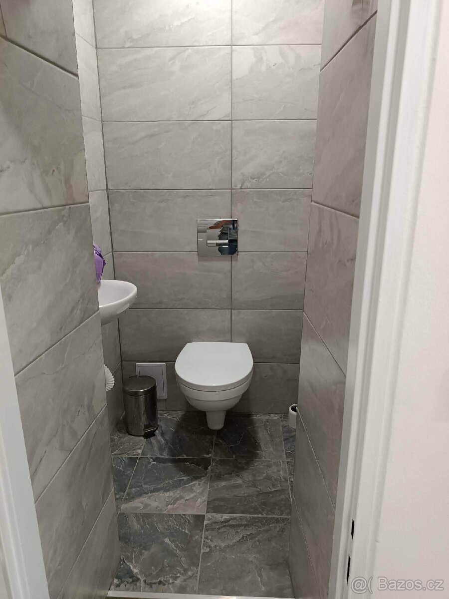 Pronájem bytu 3+kk - 4