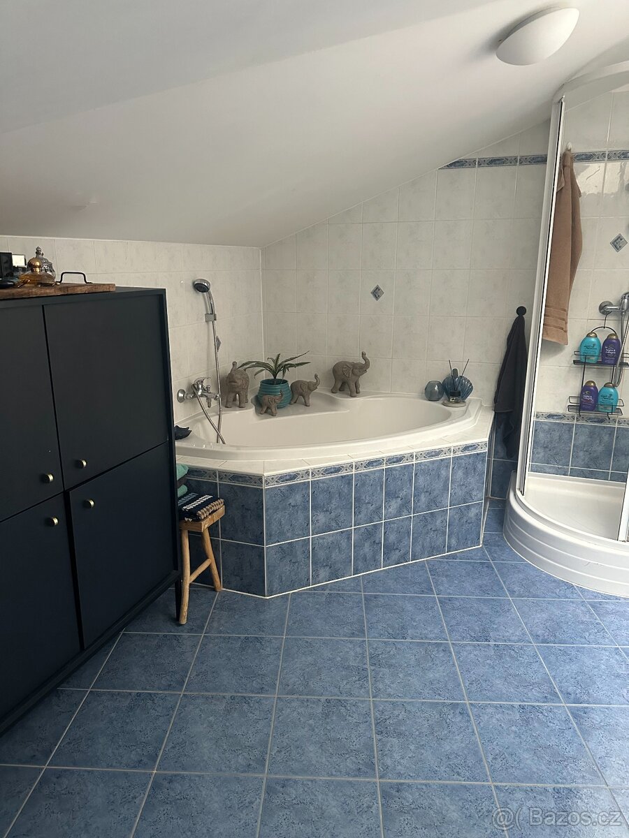 Pronájem nadstandardního bytu 3+kk s terasou v srdci Opavy - 4