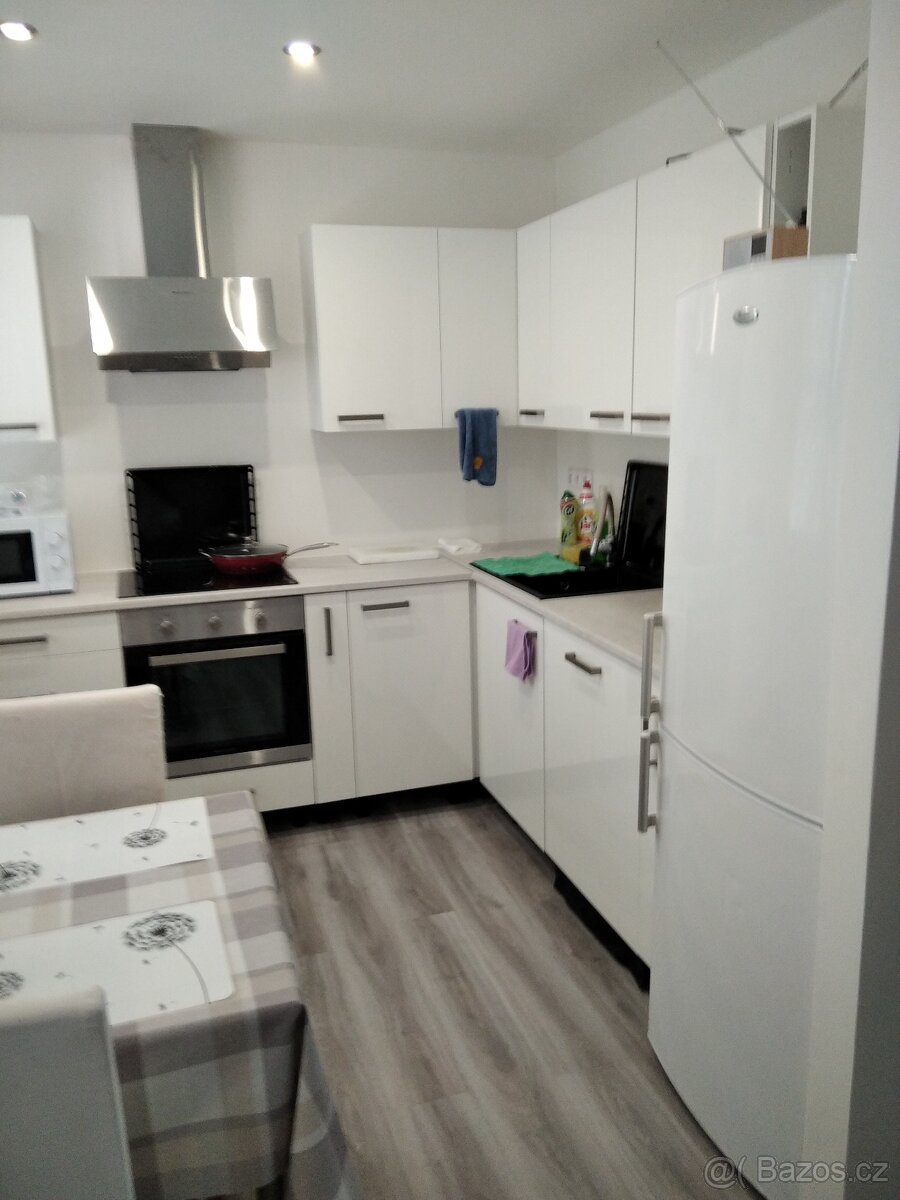 pronájem - 4