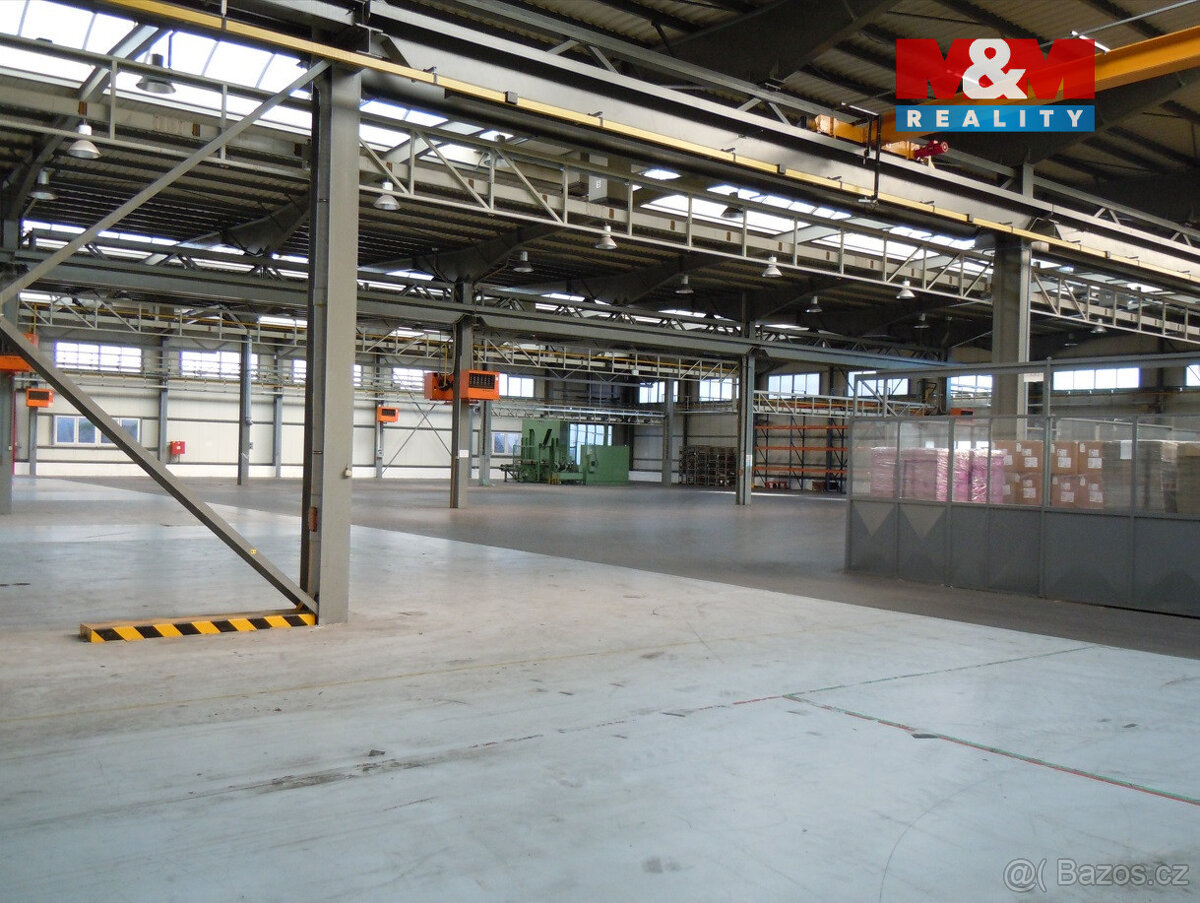 Pronájem výrobního objektu, 4465 m², Červený Kostelec, Lhota - 4