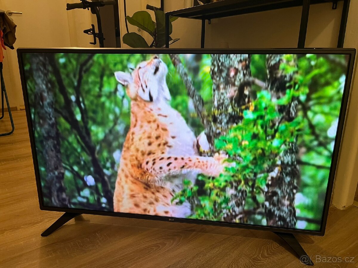 LG SmartTV 108cm - 4