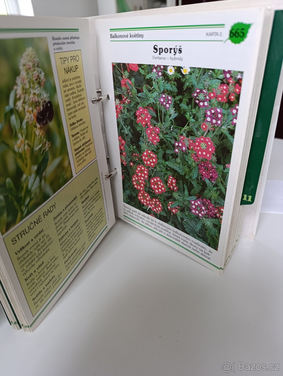 Pokojové květiny od A po Z - 4