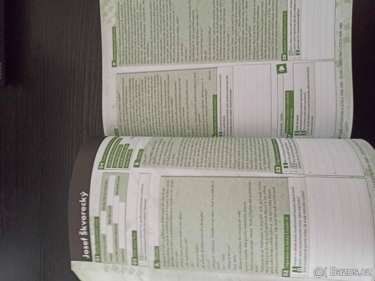 Literatura pro 4. ročník středních škol - Pracovní sešit - 4