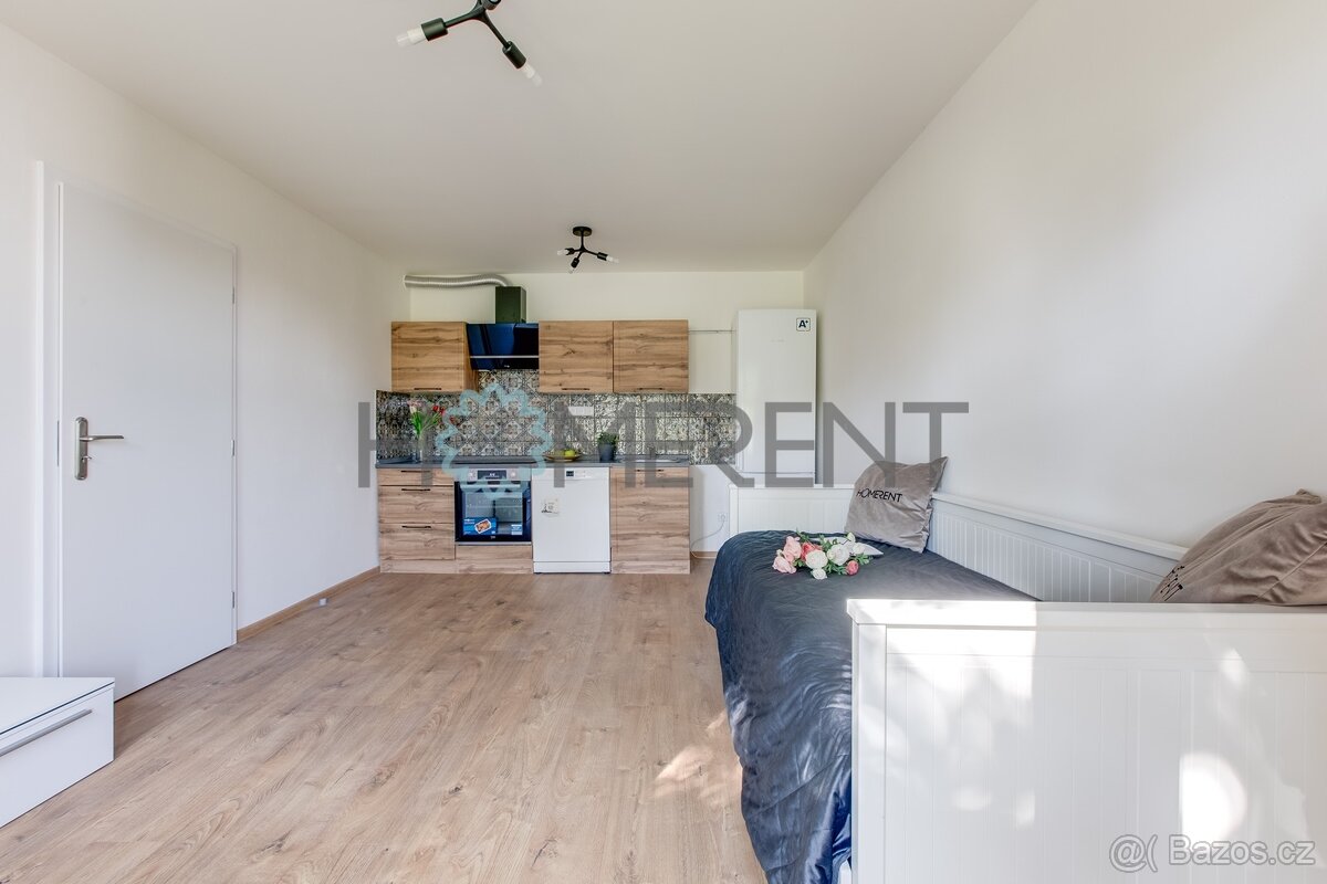 Pronájem bytu 1+kk (38m²) - , Bakalářská, Malešice - 4