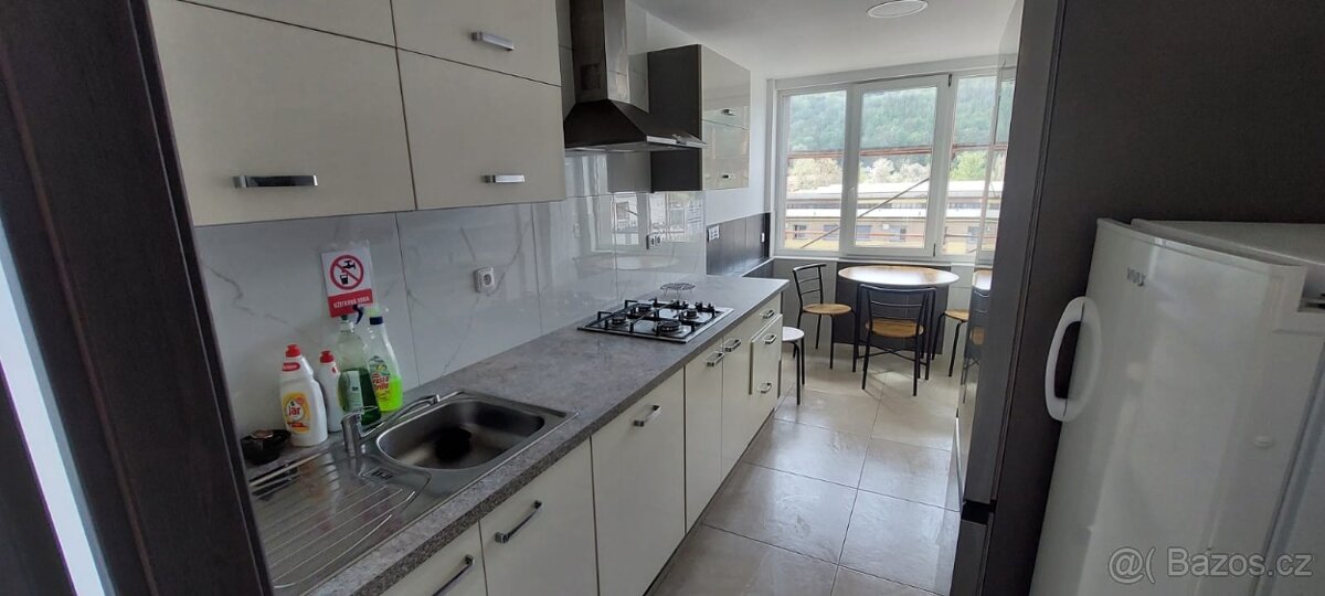 Ubytování a Pension v Berouně - 4