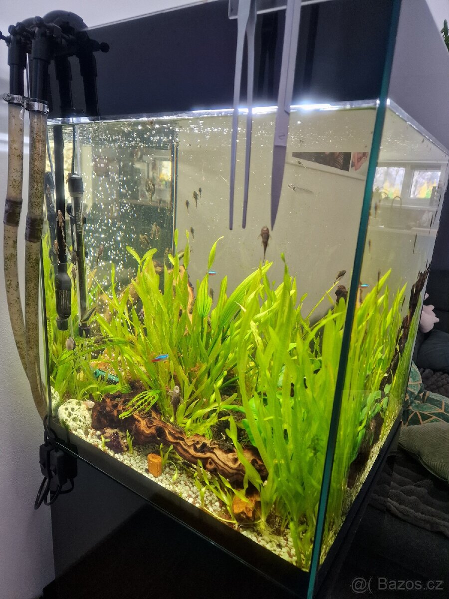 Akvárium 125l vse co je na fotkach - 4