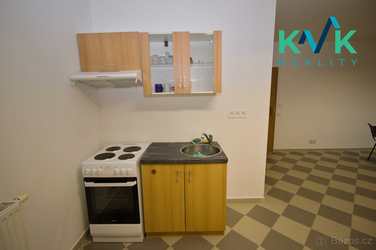 Pronájem bytu 115 m2, 4+kk Bor u Sadova - 4