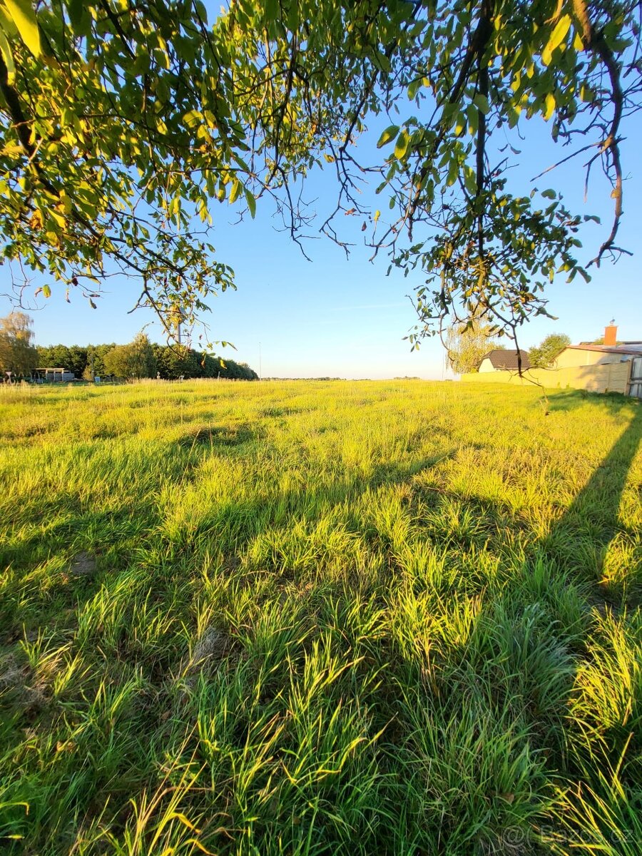Prodej stavebního pozemku Albrechtičky - 4