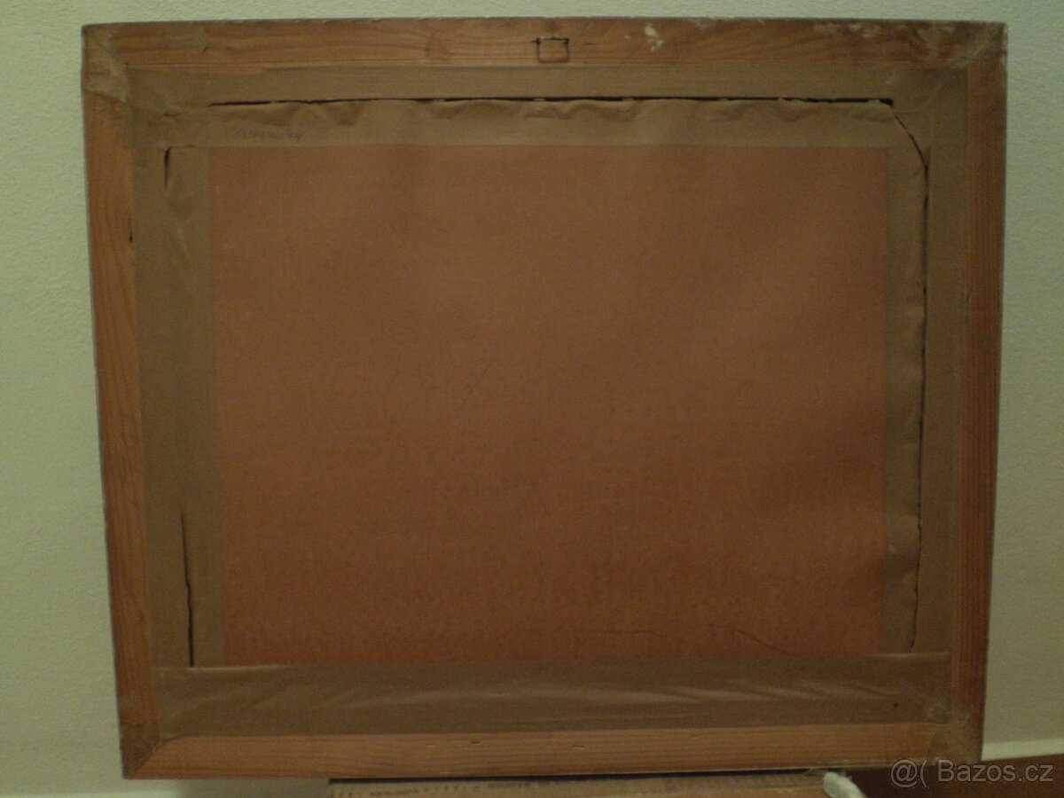 Chalupa v Kameničkách, - 4