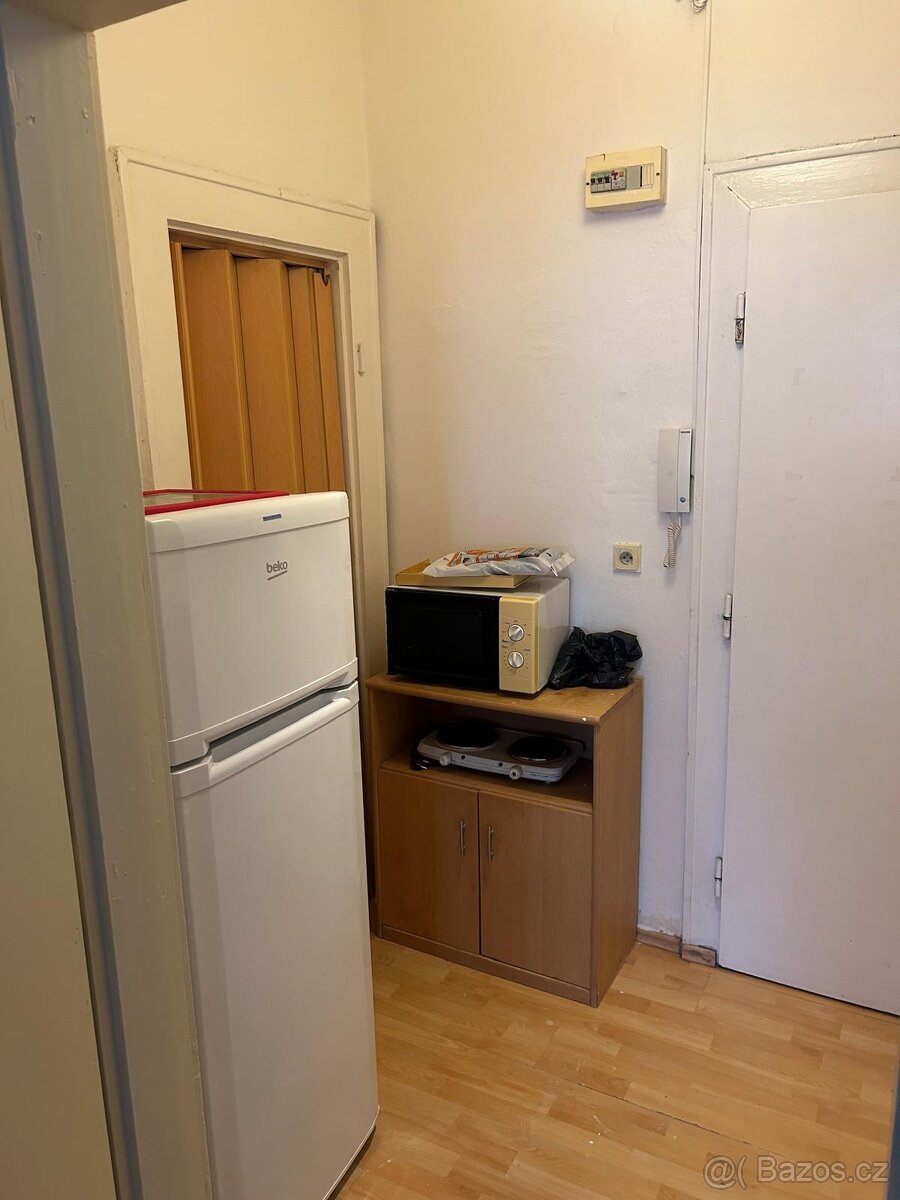 Pronájem bytu 1+kk - 4