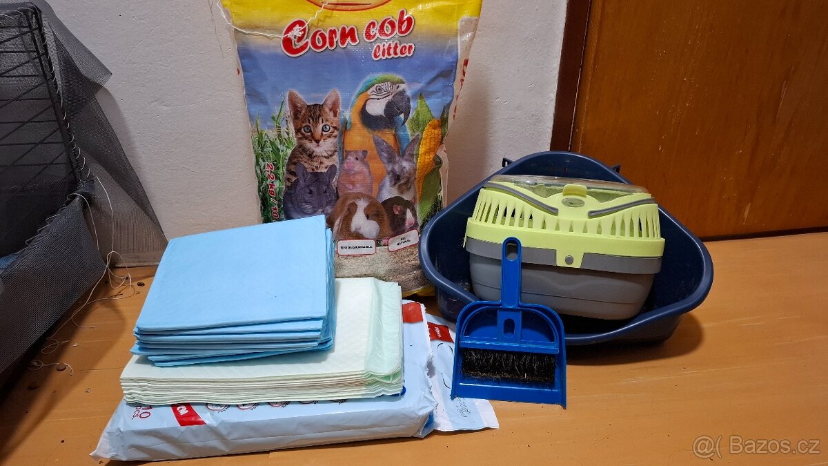 Morčata, 2 samičky - 4