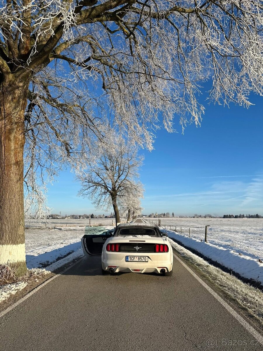 Ford mustang convertible 3.7 V6 - 4